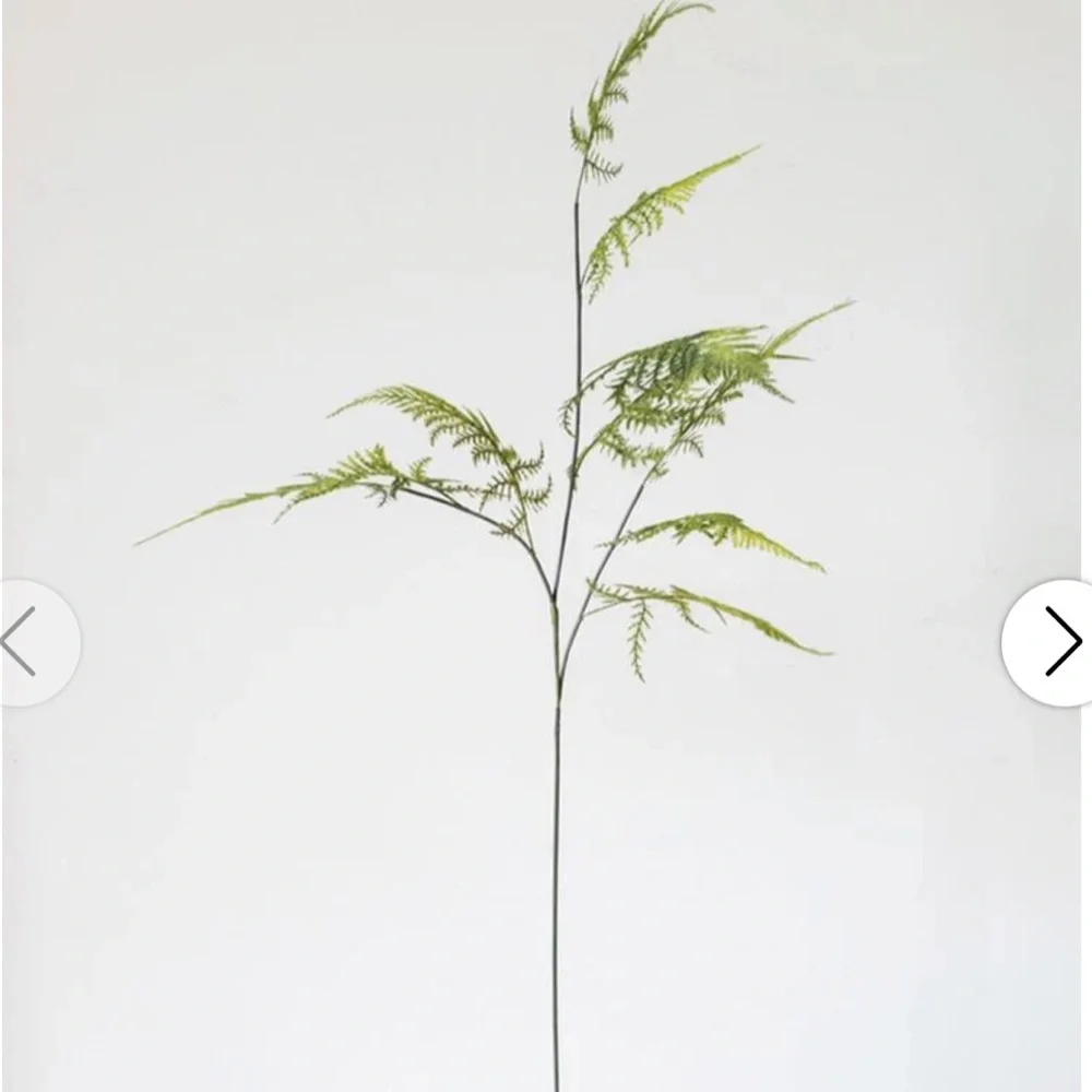 NWT Hearth&Hand Asparagus Fern Plant Stem 32